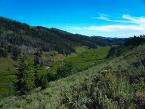 A favorite fishing spot, Wyoming